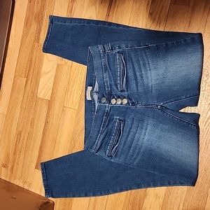 Loft Outlet Modern Skinny Button Down Jeans